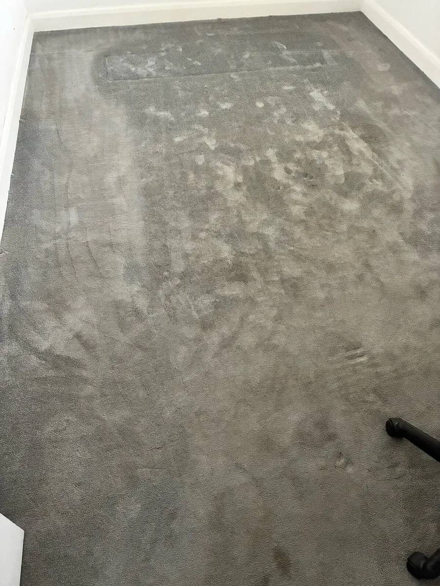 Carpet - Image 3
