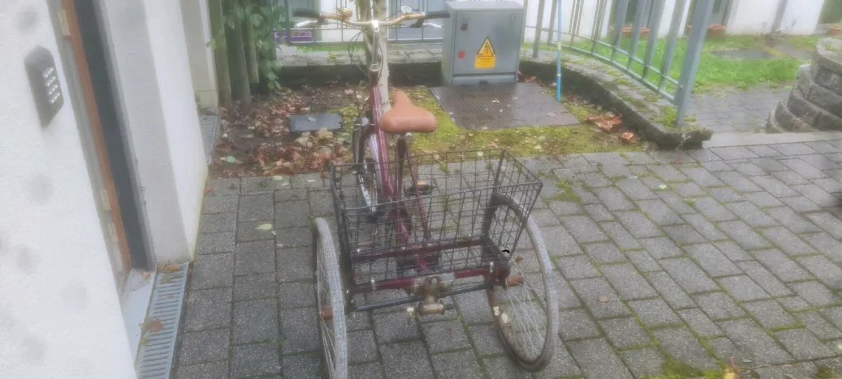 Tricycle (Adult) - Image 2