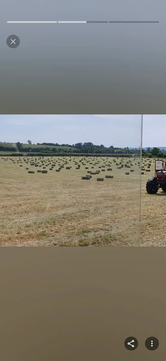 Square bales of Hay /haylage/straw. - Image 1