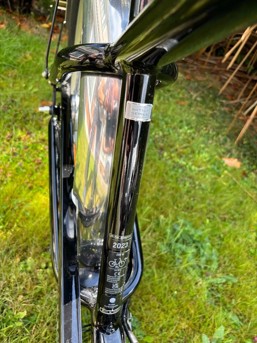 Electra Ghostrider Go! E-bike - Image 4