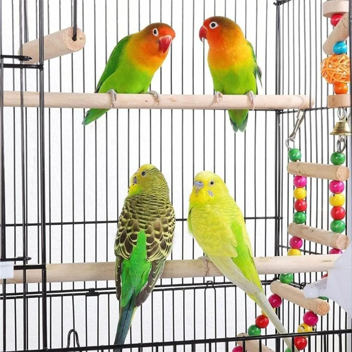 Bird Cage Large Wrought Iron Parrots & Small Birds - Image 4