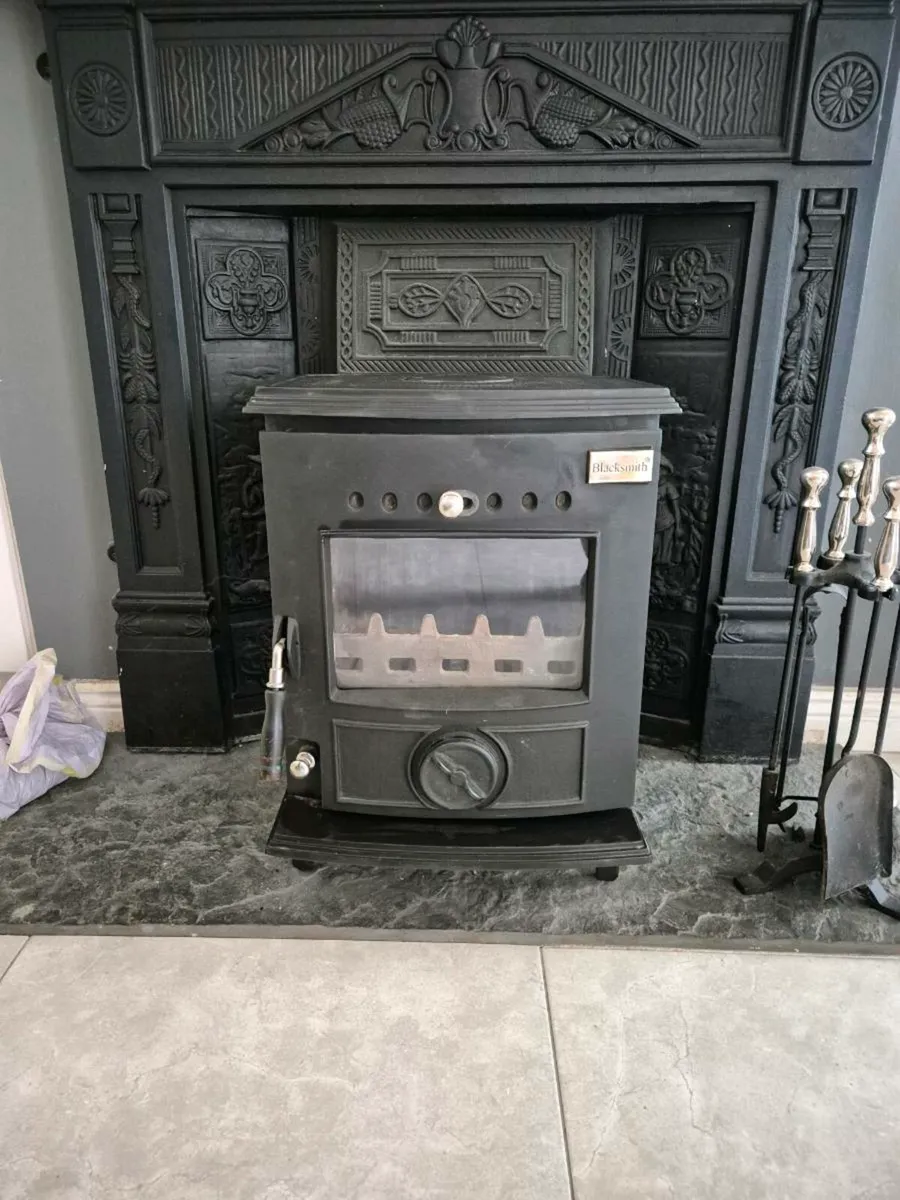 6kw Blacksmith Anvil Multi Fuel Stove - Image 1
