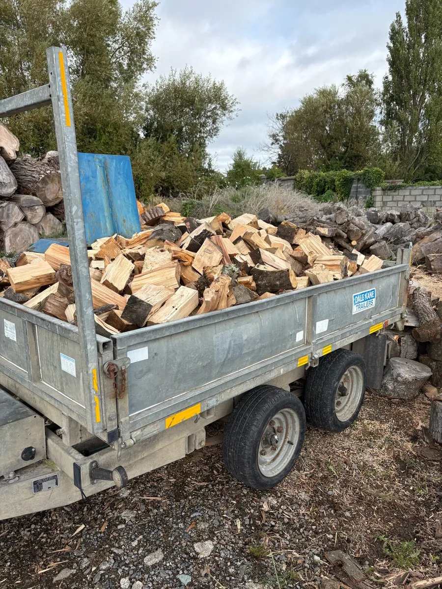 Firewood - Image 1
