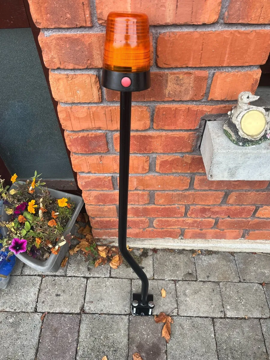 BERG BUDDY FLASHING LIGHT - Image 1