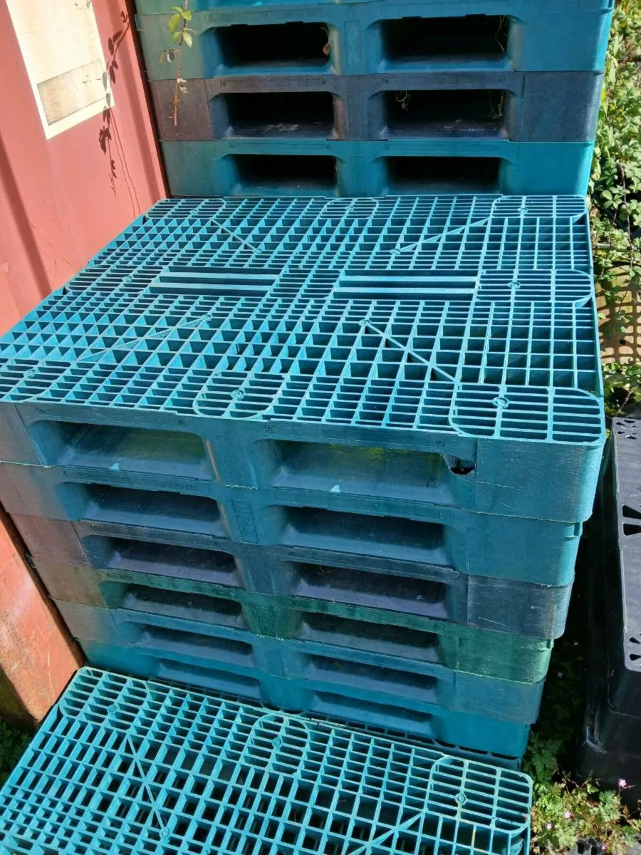 Plastic pallets  €5 each , large orders only
