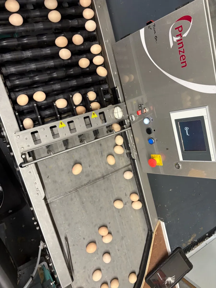 Prinzen Elgra 3 egg grader - Image 3