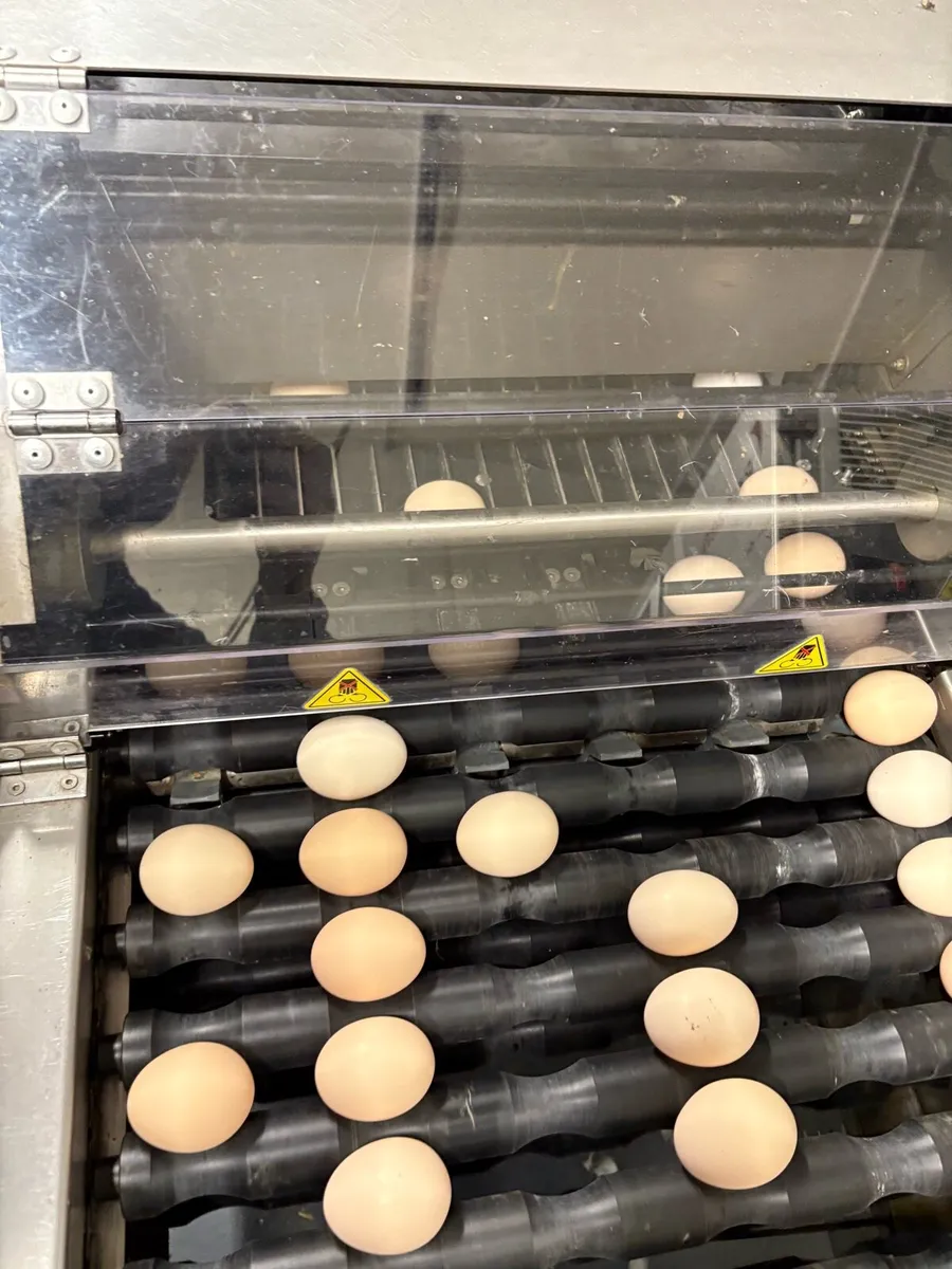 Prinzen Elgra 3 egg grader - Image 4