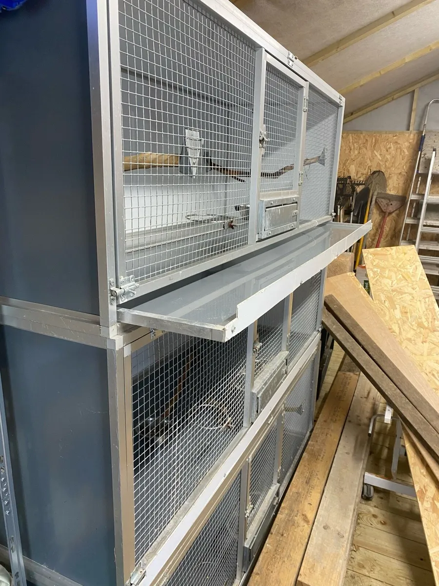 Breeding cages - Image 2
