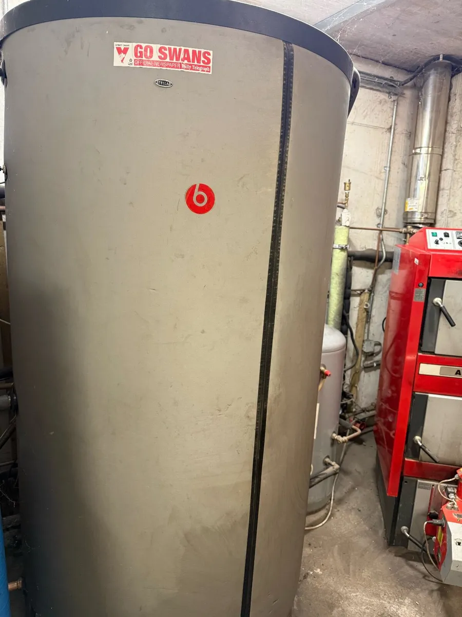 Atmos Combination boiler with Pellet burner - Image 3
