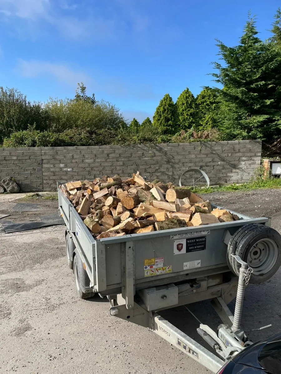Firewood - Image 2