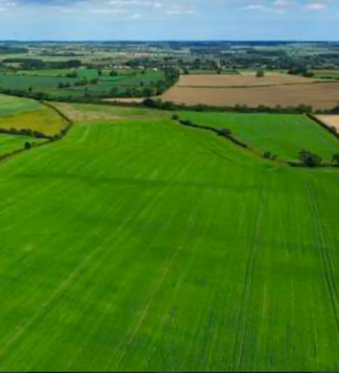 Land wanted for sheep Kerry,cork,Limerick area