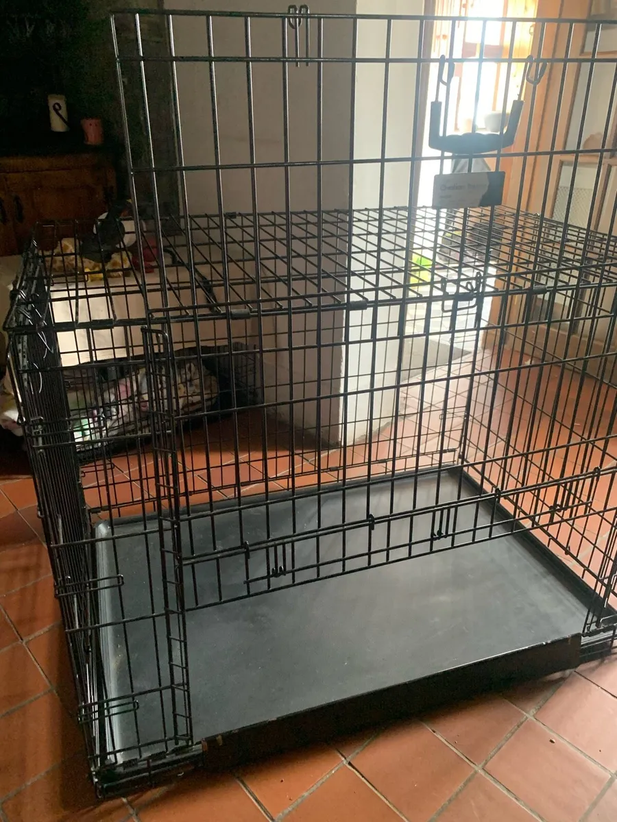 Dog accessories - Image 1