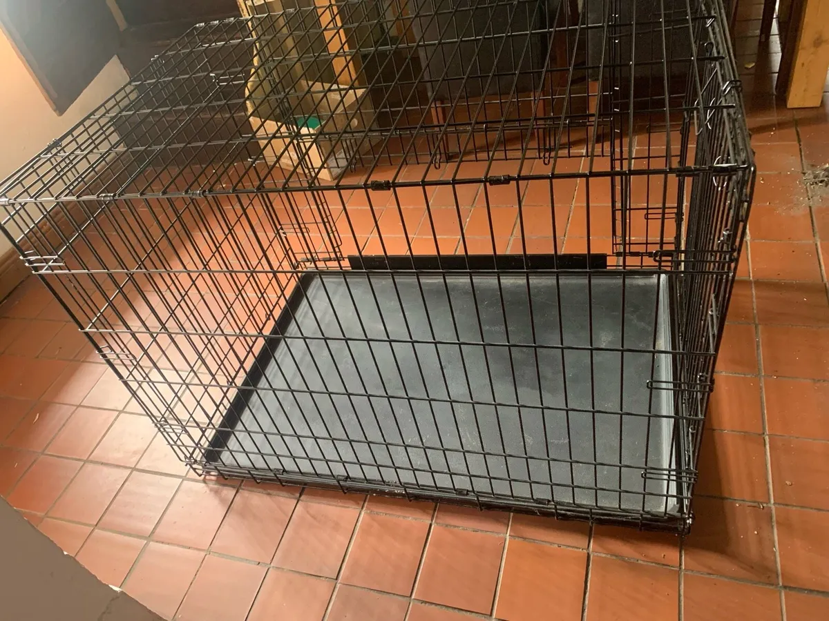 Dog accessories - Image 2