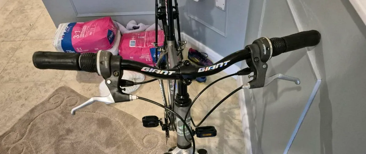 Adults Giant Escape 2 hybrid bike 20 inch frame - Image 3