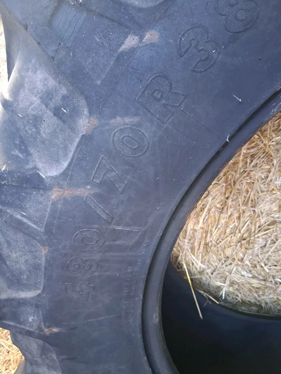 Tyre - Image 3