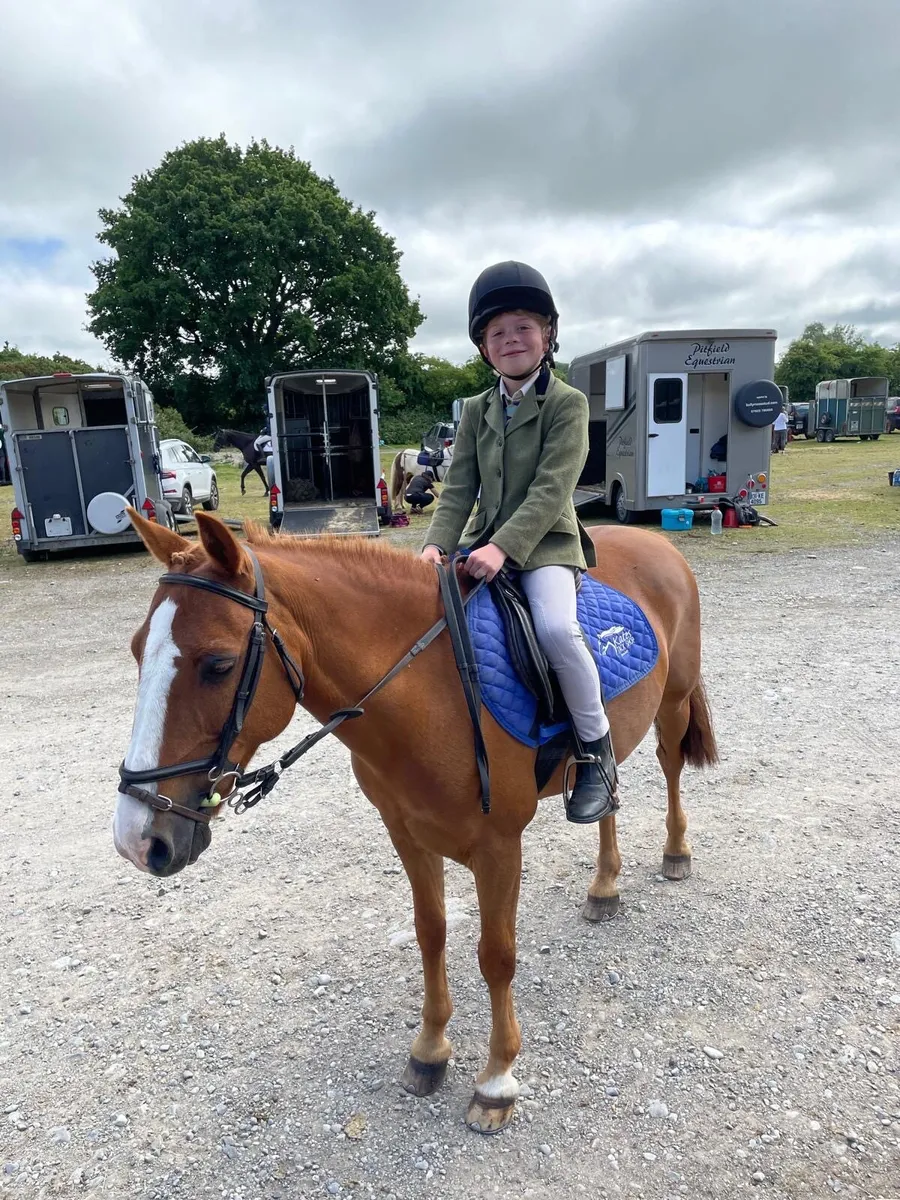 All Rounder 12.2 Pony - Image 3
