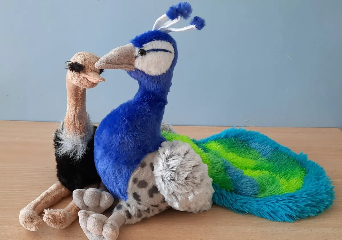 Set of Ostrich & Peacock Plush Toys (3+ years) - Image 1