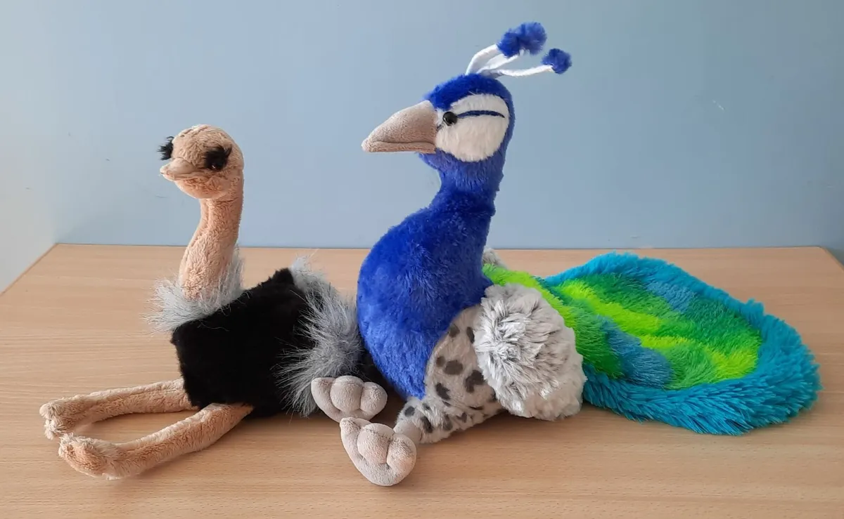 Set of Ostrich & Peacock Plush Toys (3+ years) - Image 2