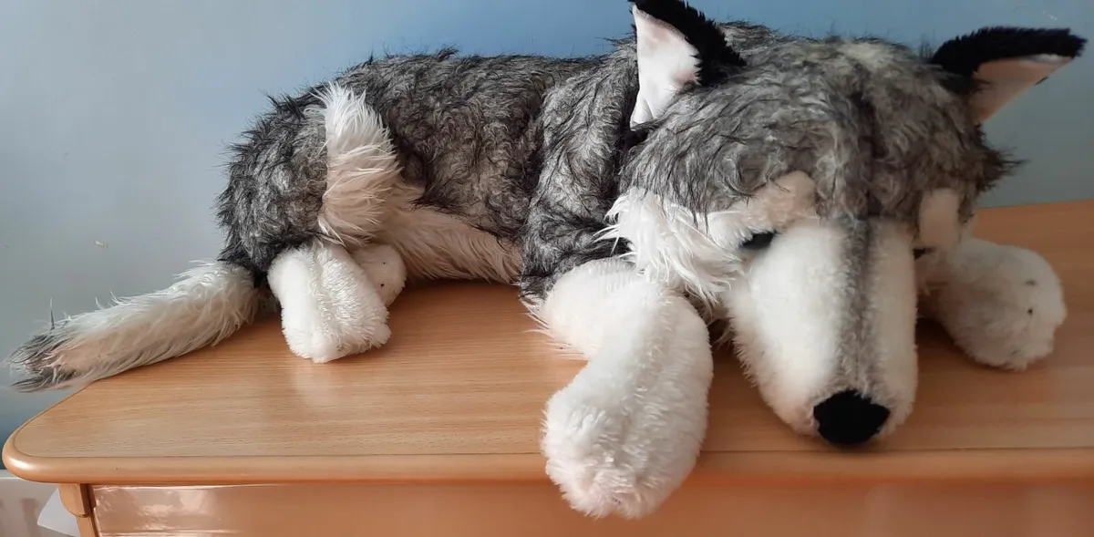 Collection of 6 Plush Dogs (3+ years) - Image 2