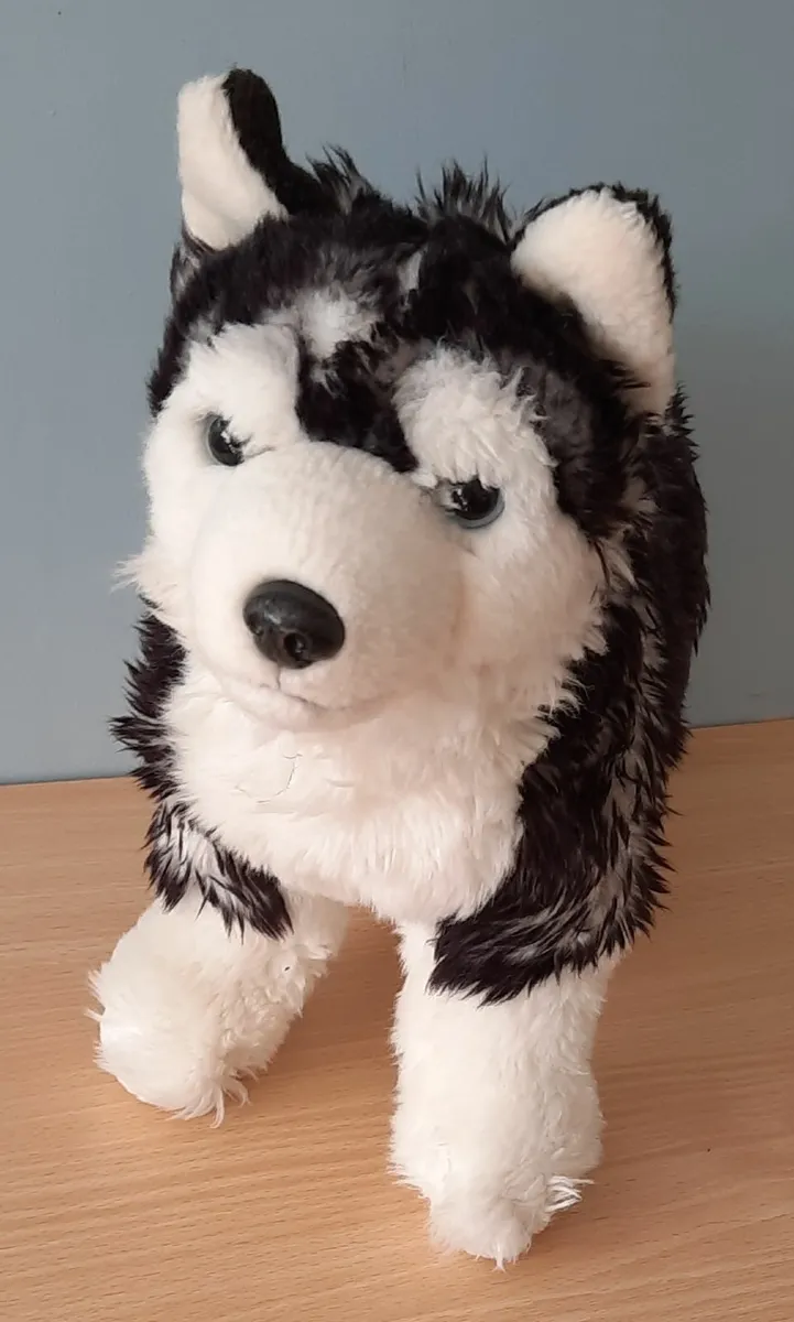 Collection of 6 Plush Dogs (3+ years) - Image 4