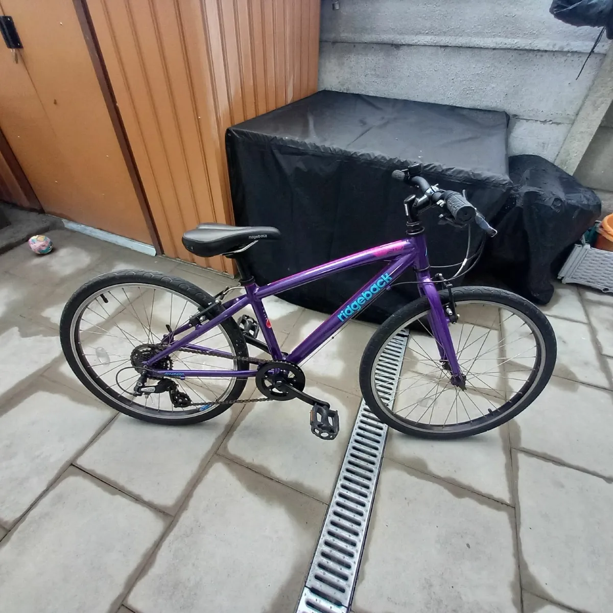 Ridgeback Older Childs Bicycle - Image 1