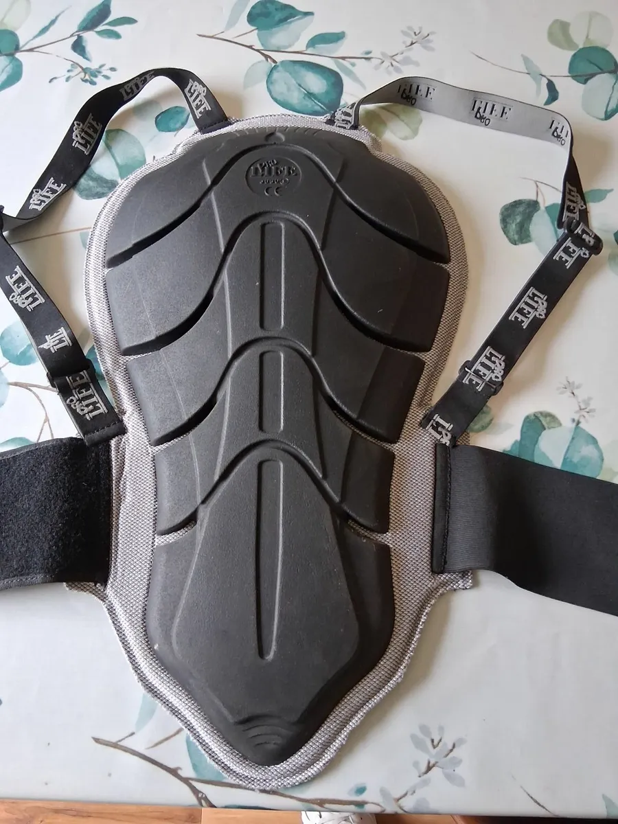 MOTORCYCLE  BACK PROTECTOR - Image 1