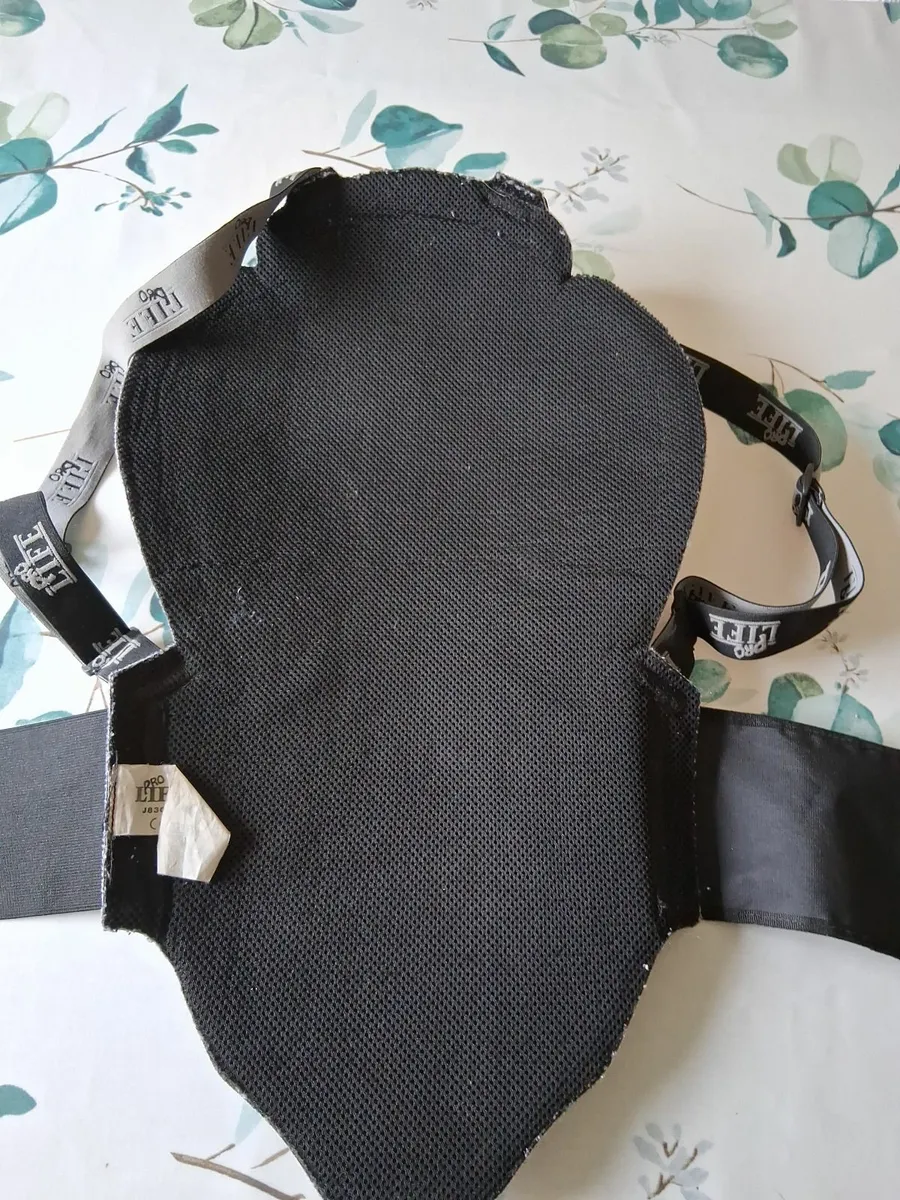 MOTORCYCLE  BACK PROTECTOR - Image 2