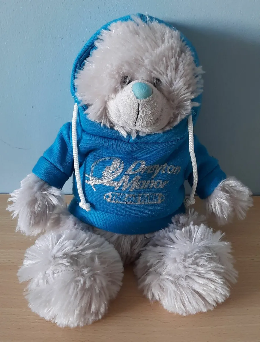 Collection of 5 Plush Teddies (3+ years) - Image 4