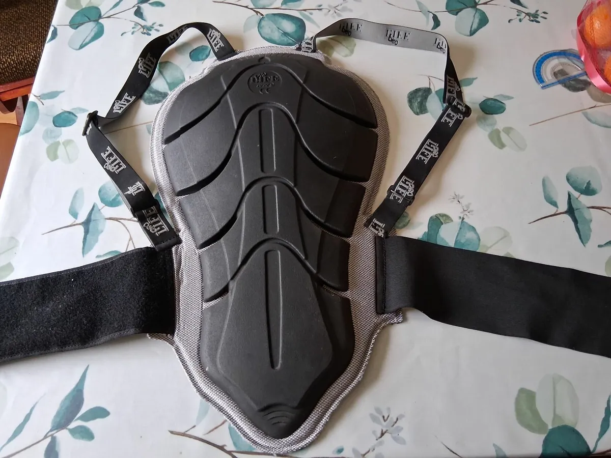 MOTORCYCLE  BACK PROTECTOR - Image 4