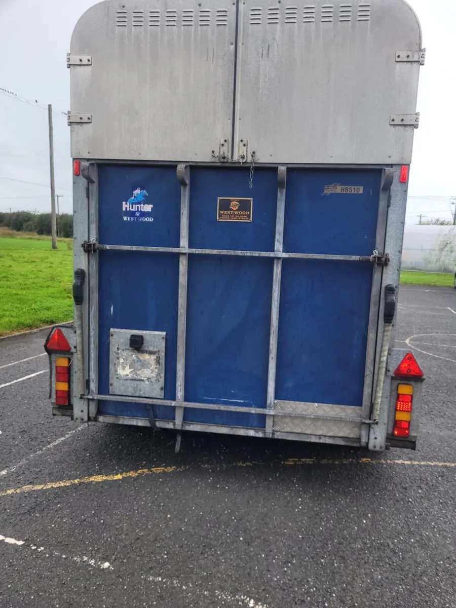 510 ifor Williams horse box - Image 4