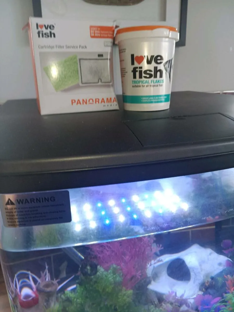 Fish tank - Image 1