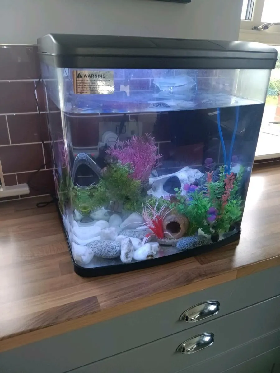 Fish tank - Image 3