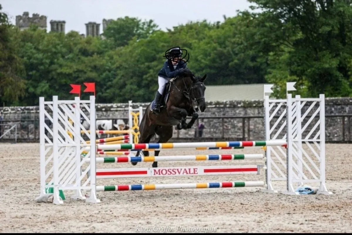 Pony - Image 1