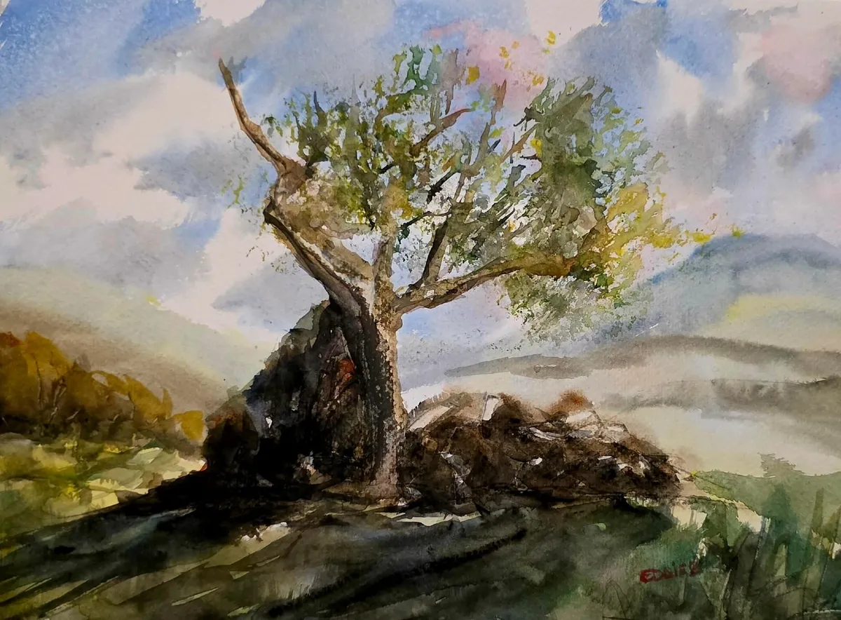 watercolour paintings - Image 3
