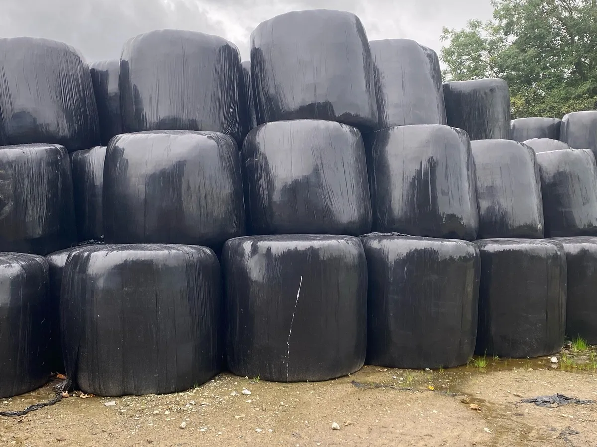 Silage bales
