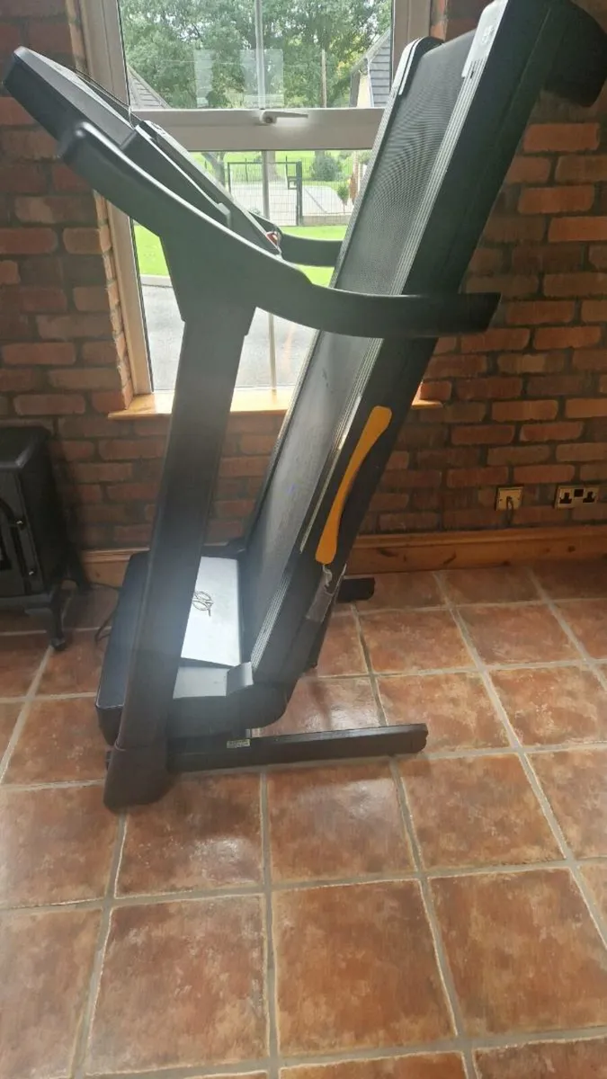 Nordic treadmill - Image 2