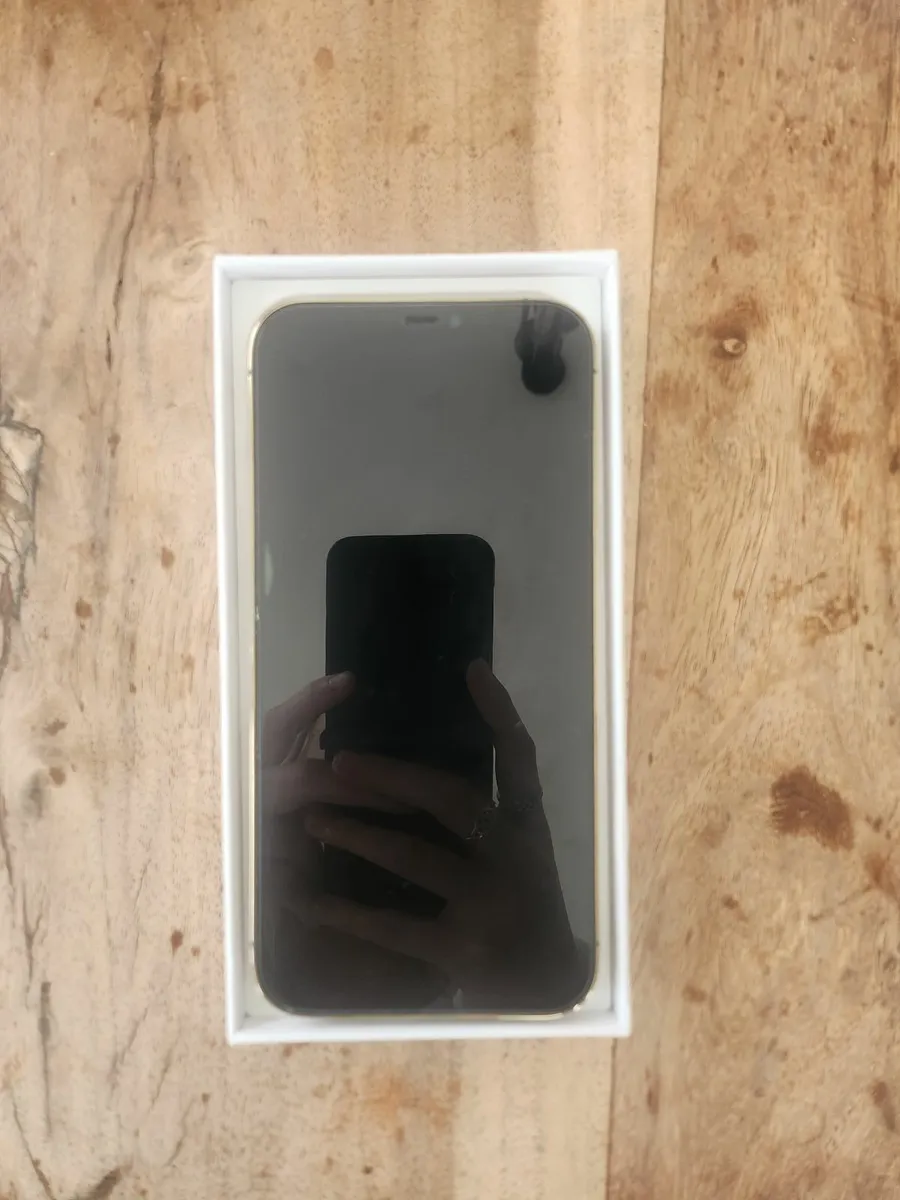 IPHONE 12 PRO MAX - Image 1