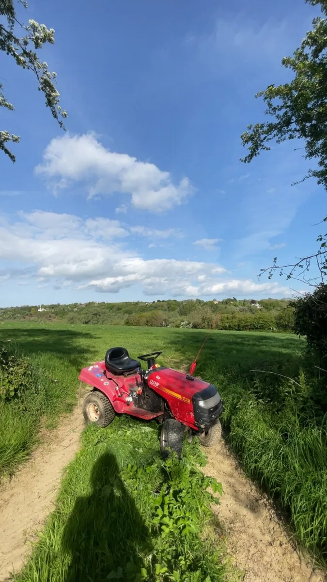 Rally lawnmower - Image 3