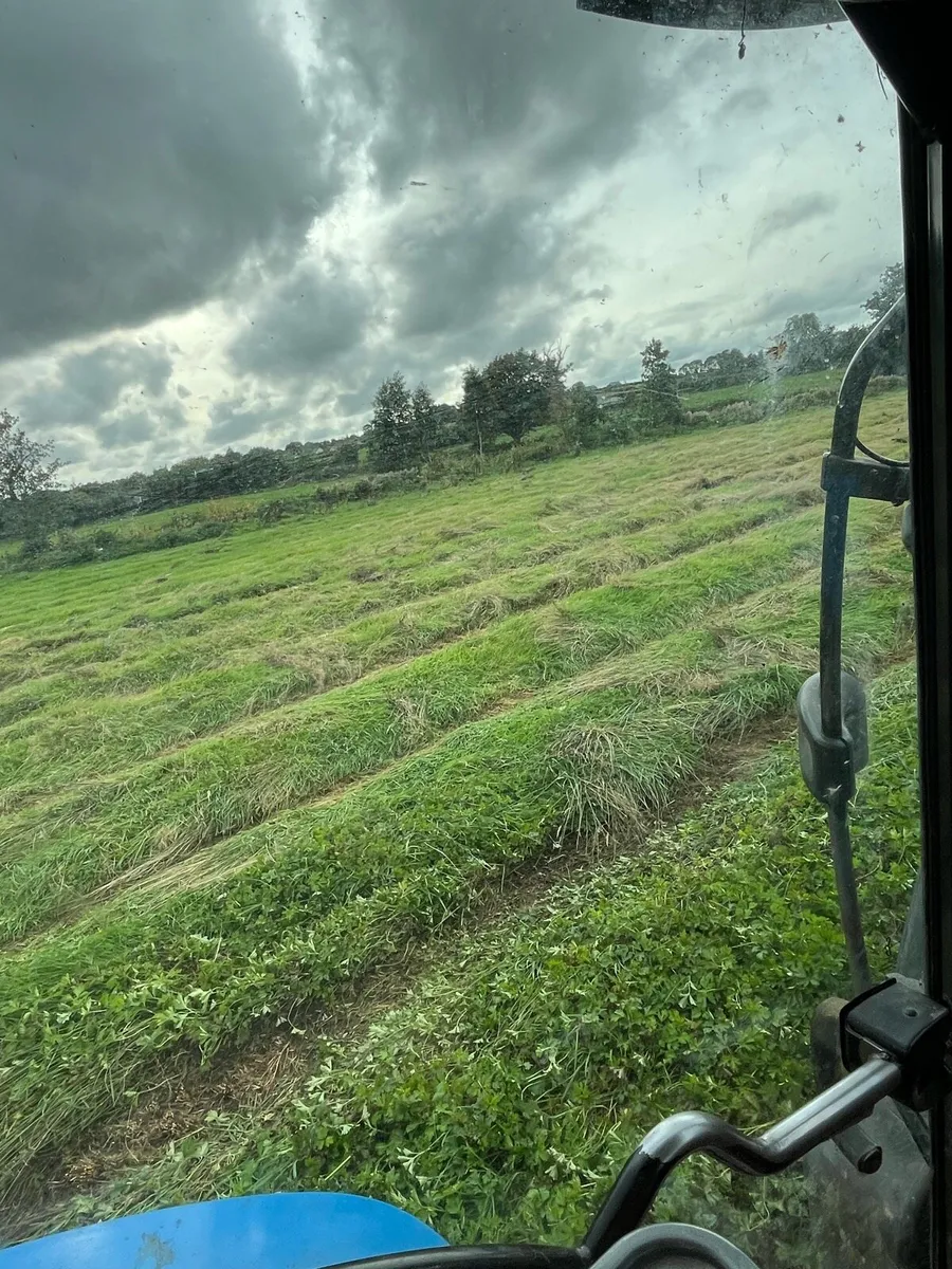 Silage bales - Image 1