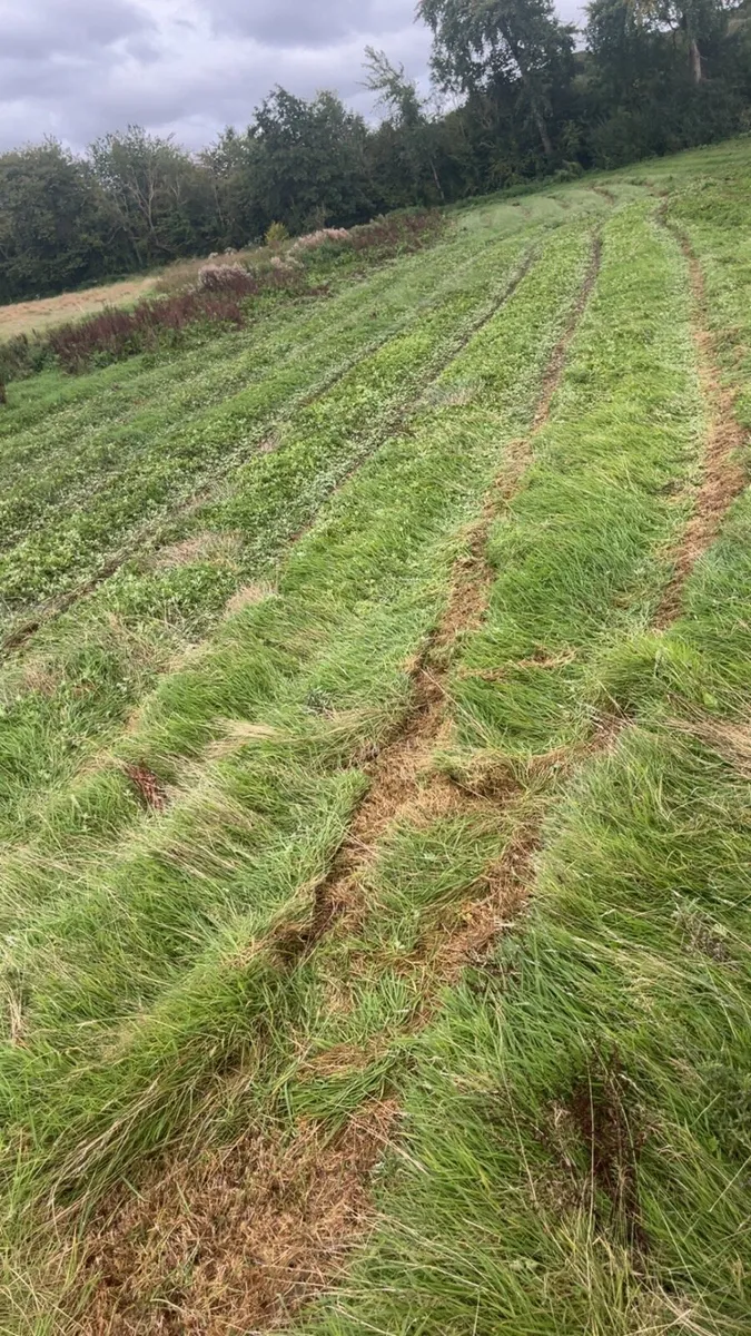 Silage bales - Image 2