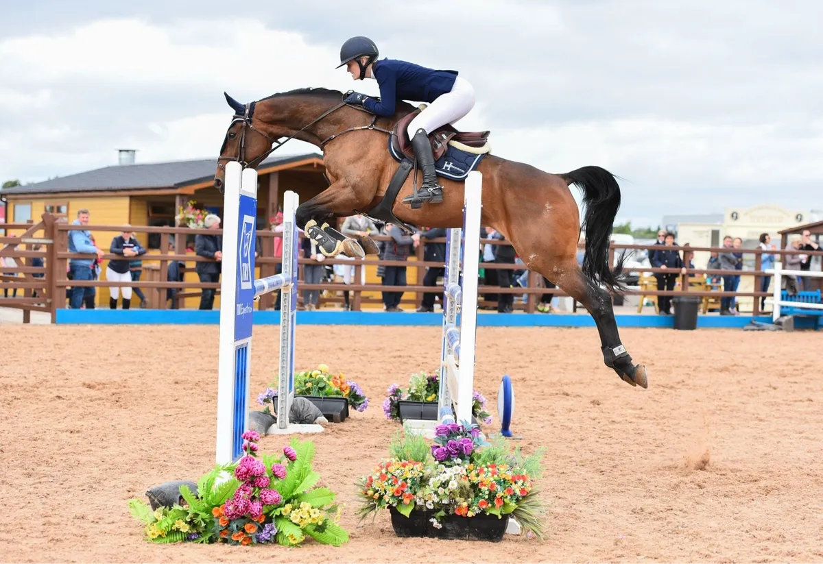 2 Year Old Jumping Filly - Image 4