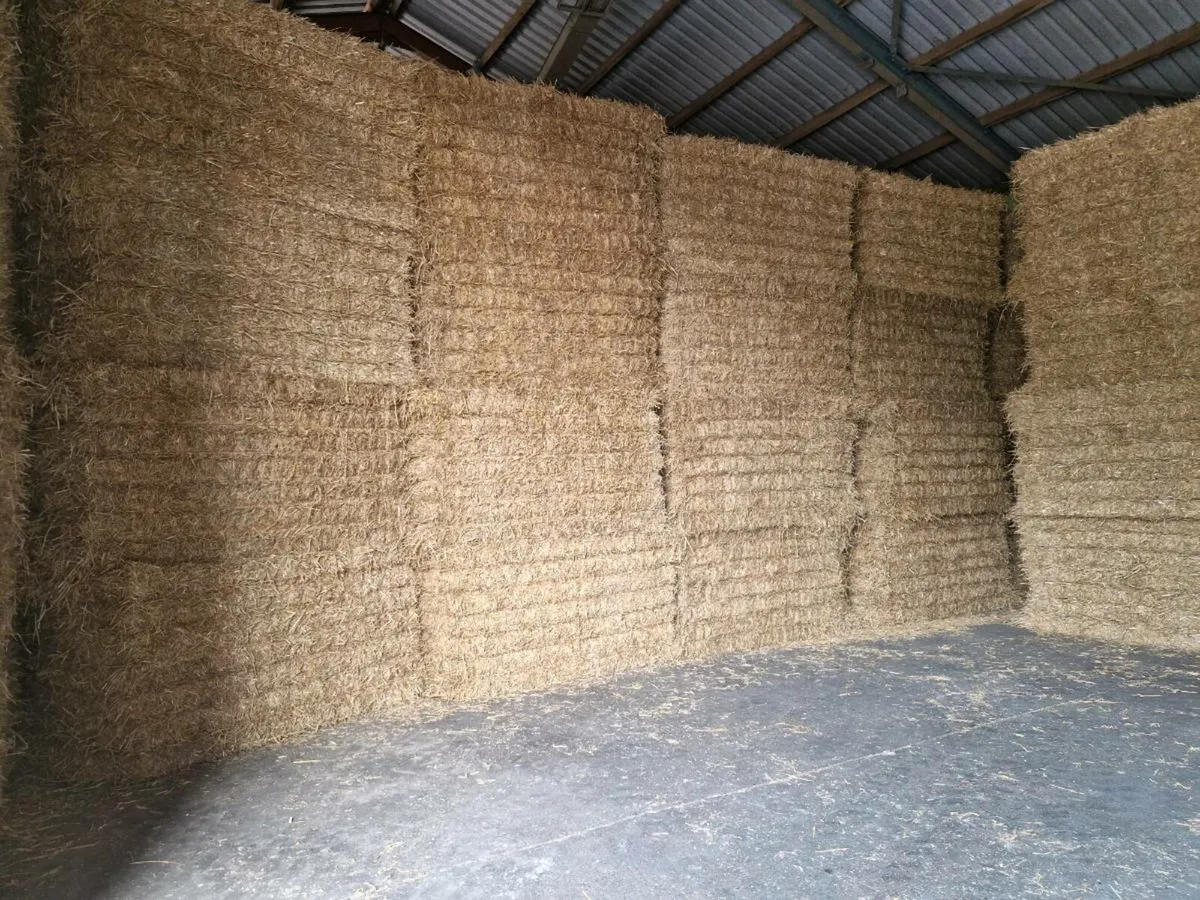 Straw