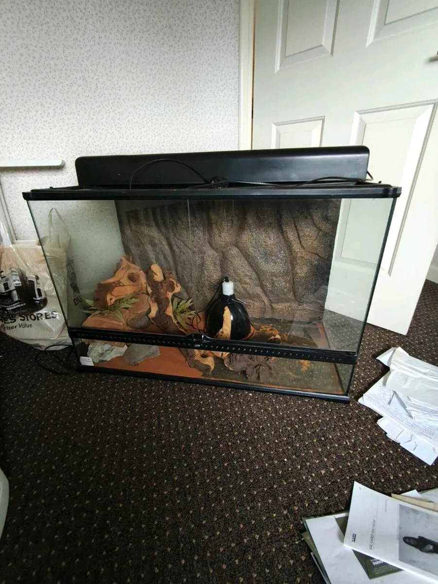 Reptiles glass tanks there is 2 of them sell toget - Image 1