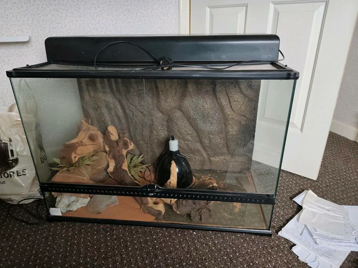 Reptiles glass tanks there is 2 of them sell toget - Image 3