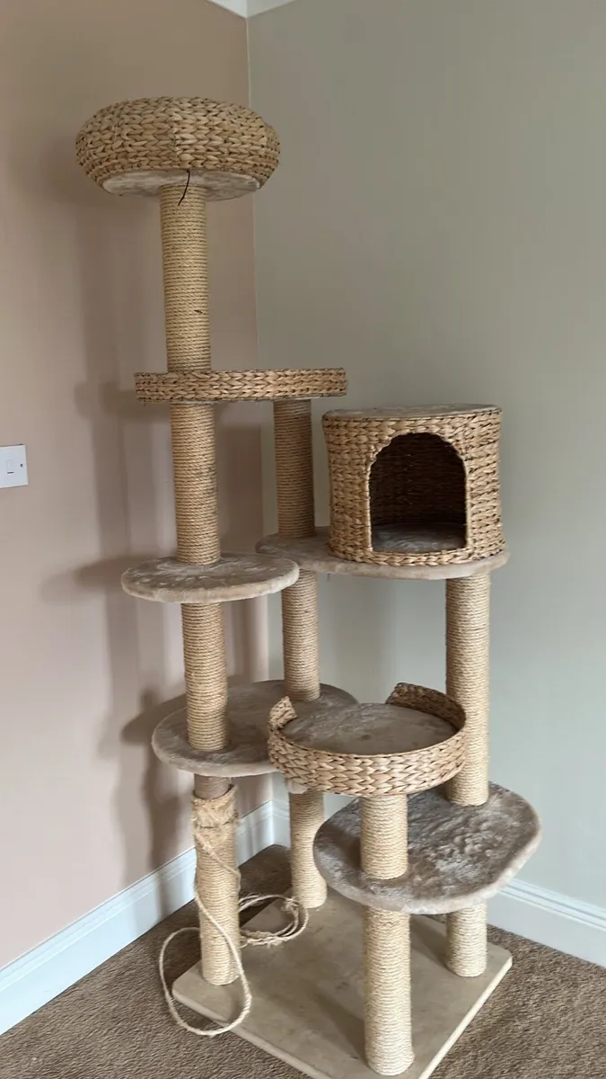 Cat Tower 2m high - Image 2