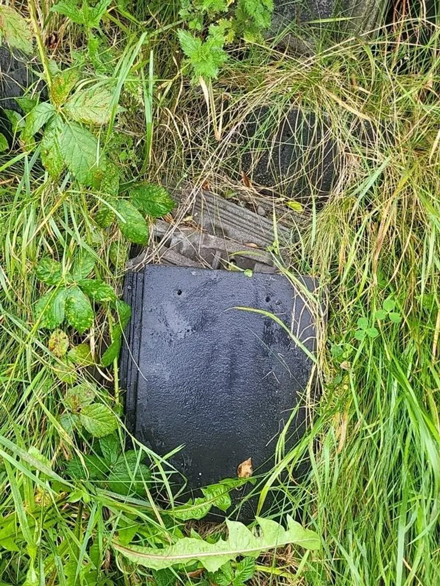 Approximately 20 roof tiles free to a good home