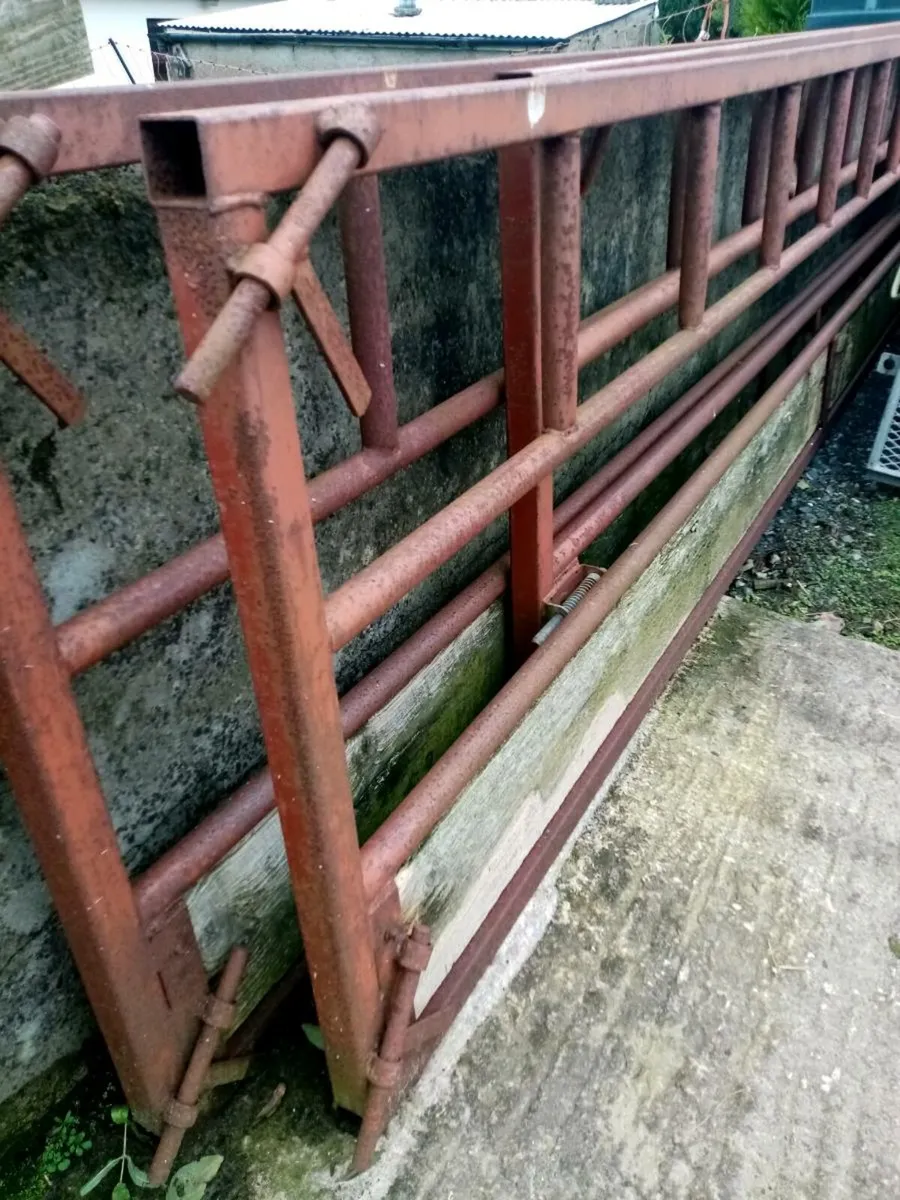 3 sheep barriers - Image 1