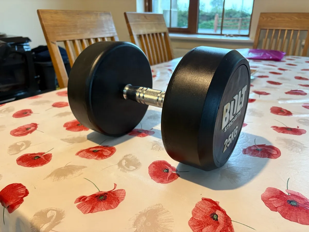 25KG RUBBER COMMERCIAL DUMBBELL - Image 2