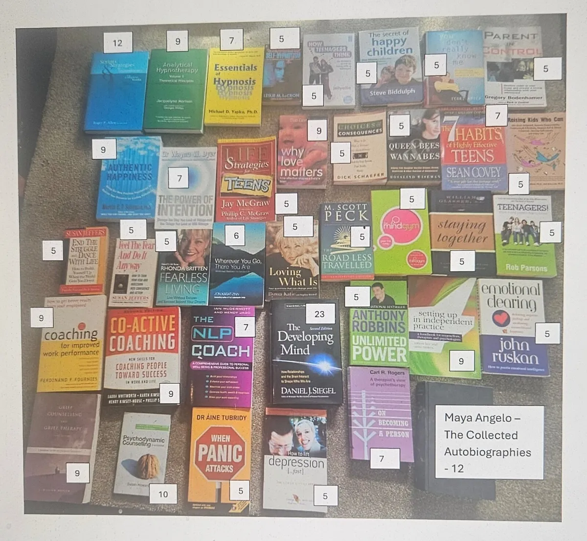 Reduced Psychology, Coaching & Well-being Books - Image 1