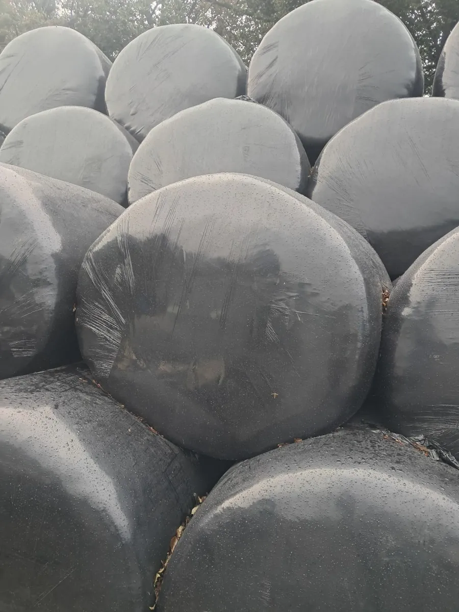 Silage for sale - Image 1